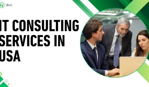 IT Consulting Services in USA